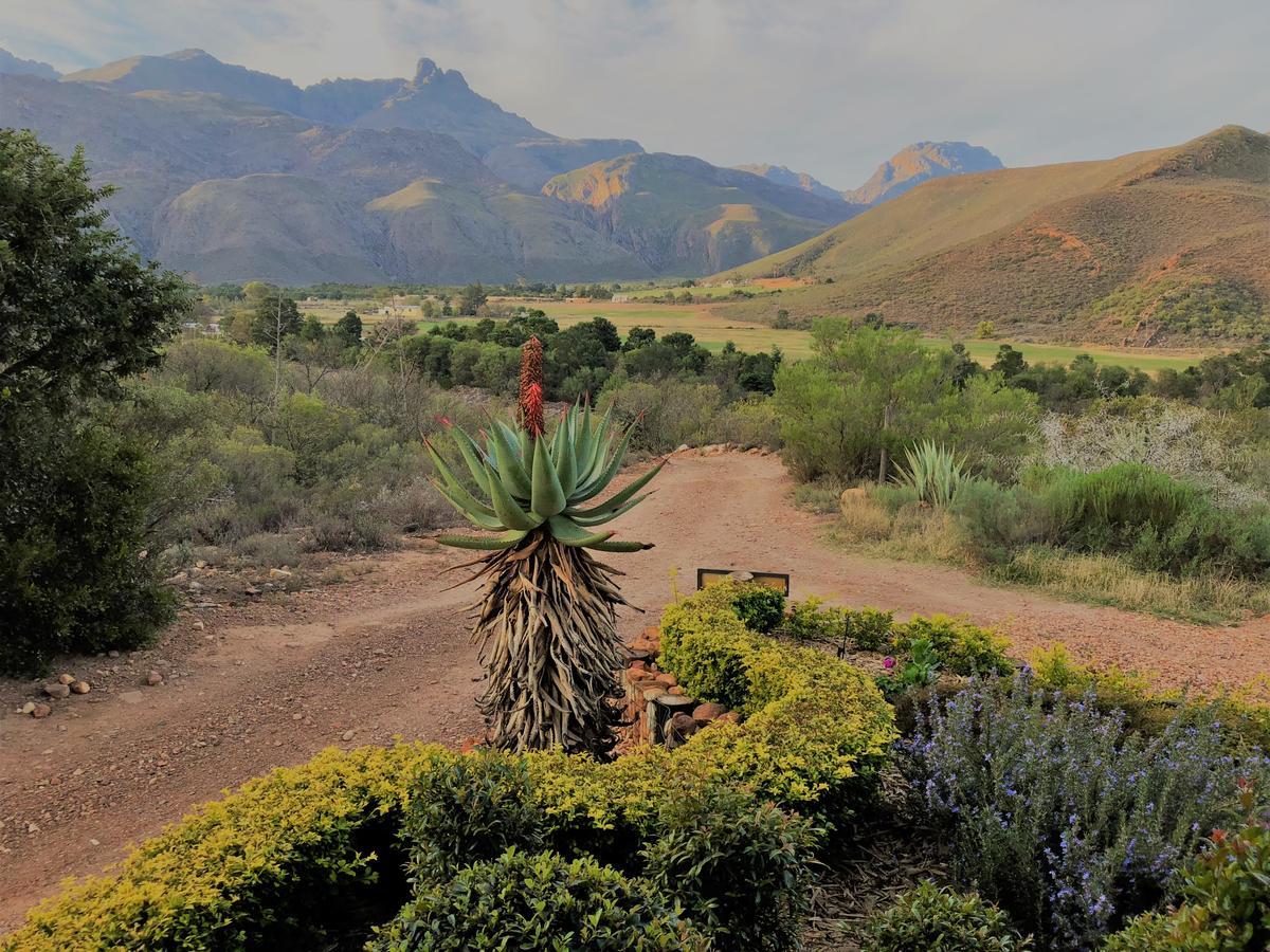 Oaksrest Vineyards Guest Farm Hotel Ladismith Exterior photo